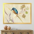 thumbnail image 3 of Designart 'Common Kingfisher Bird On Branch' Traditional Framed Art Print, 3 of 4