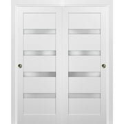 Sliding Closet Bypass Doors | Quadro 4113 White Silk with Frosted Opaque Glass | Sample of Color