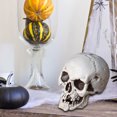 thumbnail image 4 of Realistic Skeleton Skulls for Halloween, Spooky Plastic Human Skull for Halloween Home Table Decorations, 4 of 5