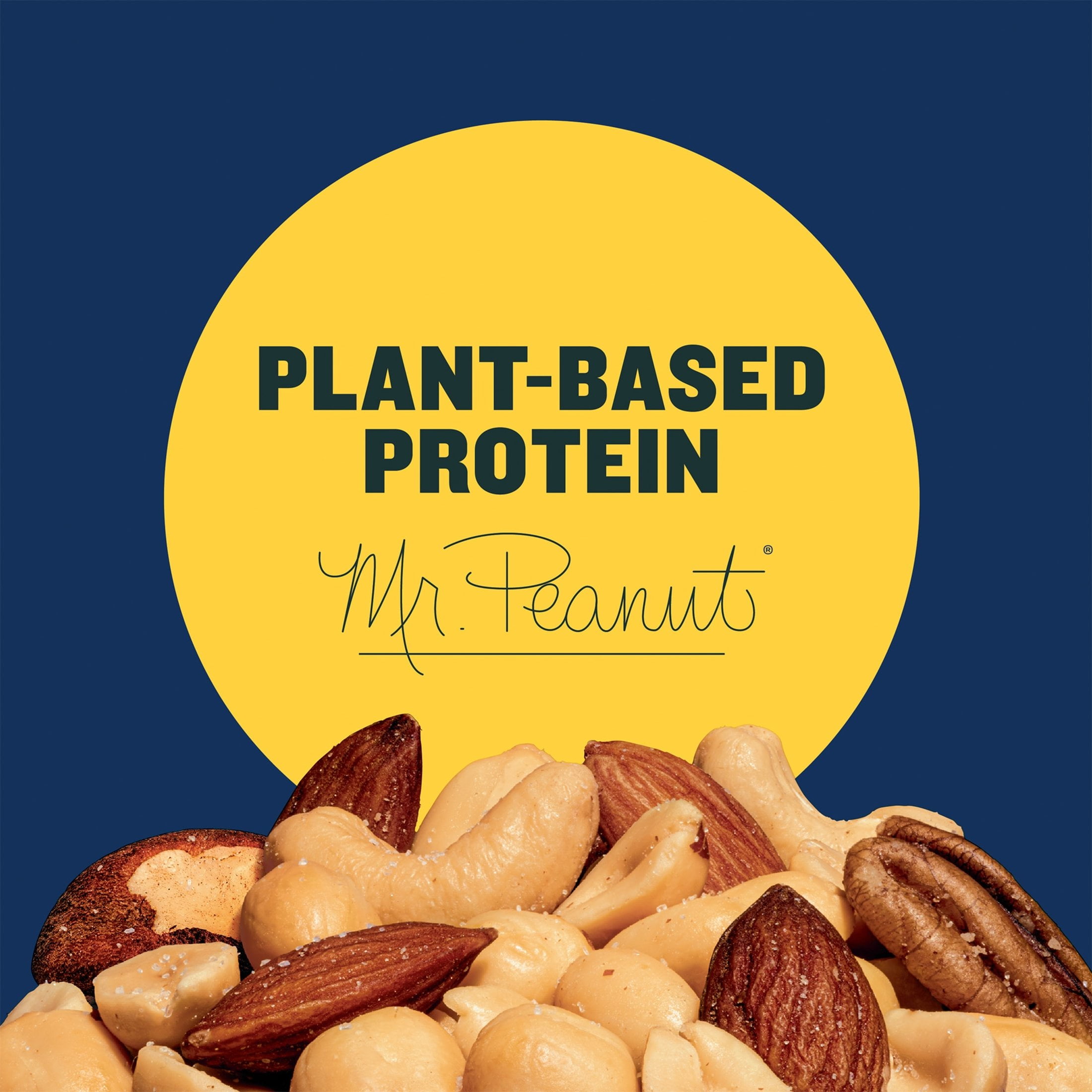 PLANTERS Lightly Salted Mixed Nuts, Party Snacks, Plant Based Protein, 15 oz Canister