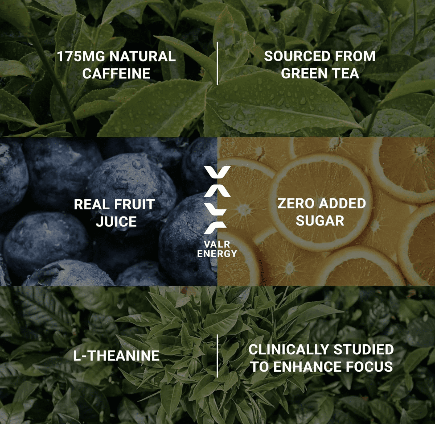 VALR Energy | Blueberry Tart Nitrogen-Infused Energy Drink | 24 Pack | 175mg Natural Caffeine from Green Tea | Pre-Workout Performance with Amino Acids & Antioxidants | Gluten-Free & Vegan