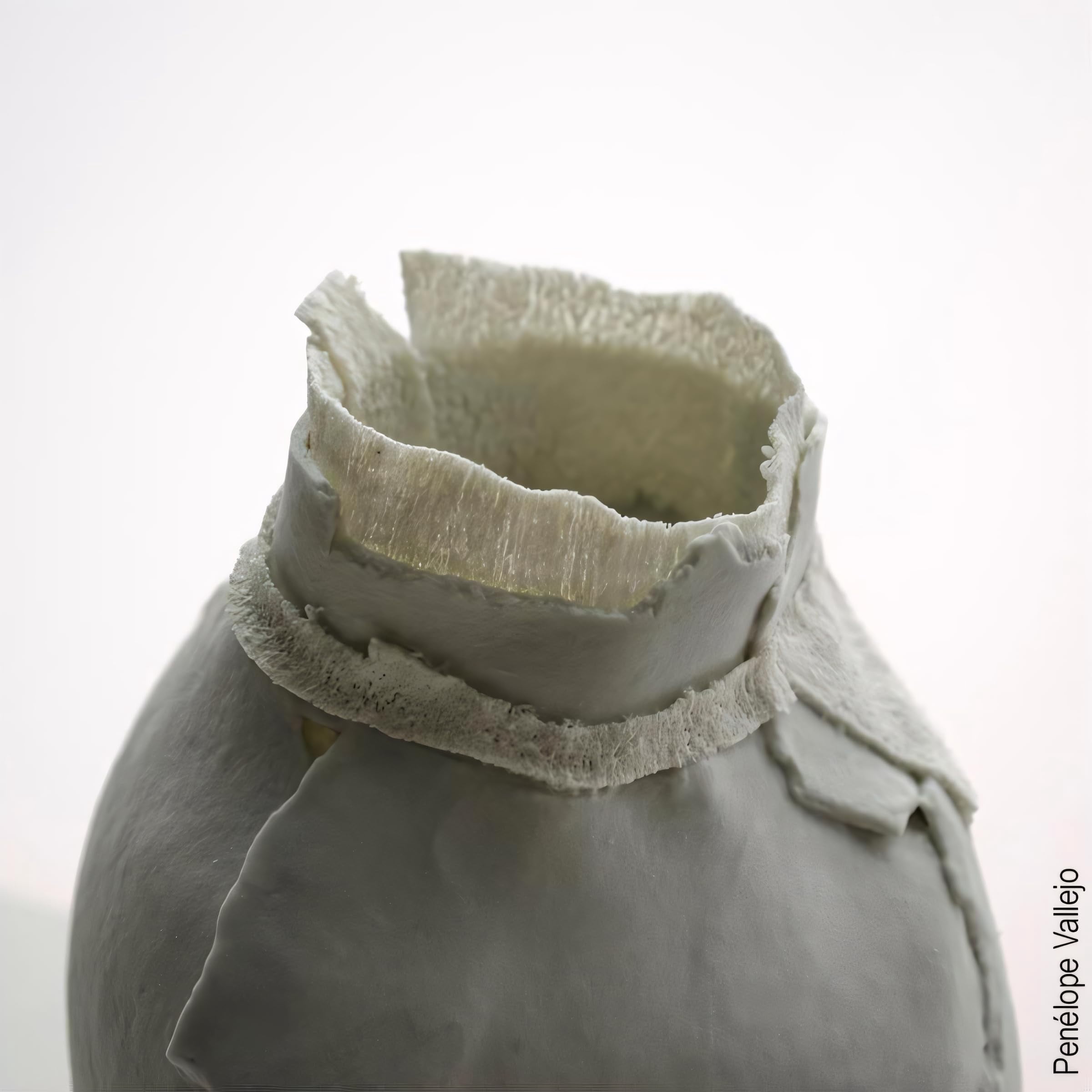 SIO-2 Cellulain Paper Porcelain Ceramic Pottery Clay - 3.5 lb