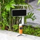 thumbnail image 5 of Cubierta De Silicona Cardán Cubiertas de polvo antiarañazos con funda de silicona Gimbal para Insta360 FLOW (naranja), 5 of 6