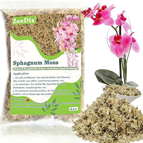 ZeeDix 170g Sphagnum Moss for Plants, Selected Clean Premium Natural