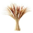 thumbnail image 6 of Xmarks Dried Pampas Grass Bouquet, Natural Dried Flower Bouquet, Boho Home Decor Bouquet, Phragmites Dried Flowers, Dried Flowers Reed Grass for Home Wedding Office Farmhouse Decor, 6 of 6