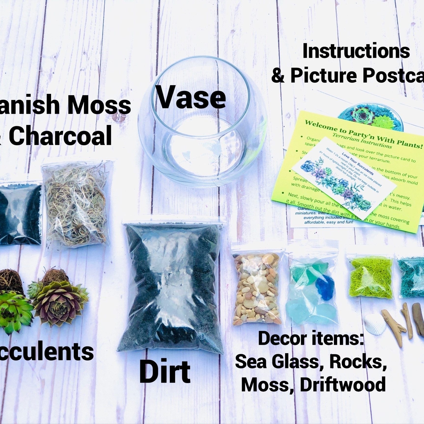 Sea Glass and Driftwood Succulent Terrarium Kit
