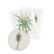 thumbnail image 4 of Toystoory 4 piezas de decoración de pintura de arte de pared exquisita decoración de interior sin marco Prop imágenes temáticas de plantas pinturas Decoración del hogar Toystoory HA011834-00, 4 of 6