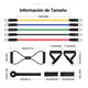 thumbnail image 4 of 150lbs Kit De Bandas De Resistencia Ligas Para Ejercicio 12pzs Malubero COLORES, 4 of 5