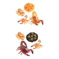thumbnail image 1 of 8x naturaleza escorpión de educación aprendizaje enseñanza juguetes, de juguete -modelo pintado a Yotijar  Juego de crecimiento de insectos para niños, 1 of 10