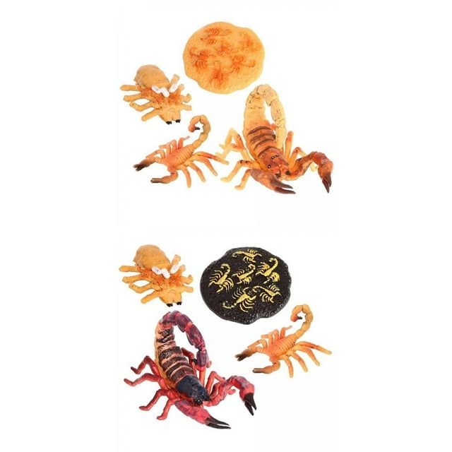 8x naturaleza escorpión de educación aprendizaje enseñanza juguetes, de juguete -modelo pintado a Yotijar Juego de crecimiento de insectos para niños