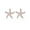 C-Rose Gold, variant on Solid 925 Sterling Silver CZ Starfish Stud Earrings for Women Teens Beach Stud Earrings Sea Fish Earrings