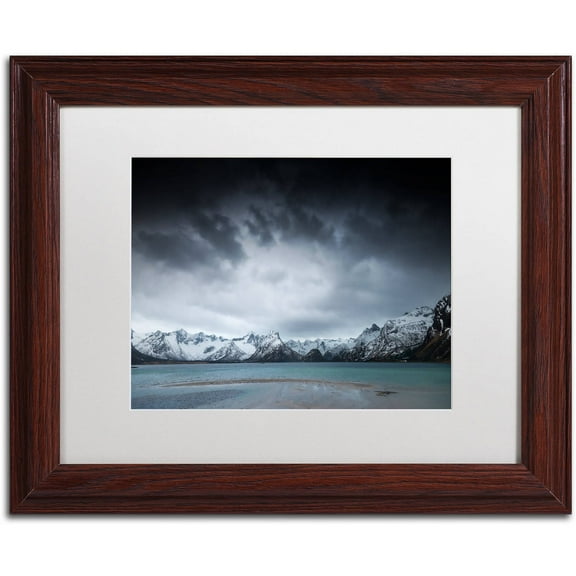 Trademark Fine Art "Over The Years" Canvas Art by Philippe Sainte-Laudy, White Matte, Wood Frame