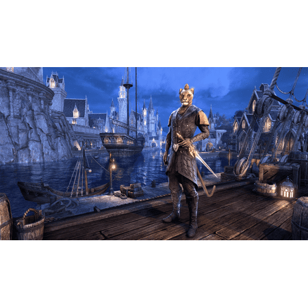 Bethesda Softworks Elder Scrolls Online: Summerset for PlayStation 4