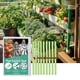 thumbnail image 4 of Fiudx Ofertas y liquidaciones Acelerador de plantas Acelera la maduración de la fruta Promueve la absorción de micronutrientes Rizosfera desarrollada 18 piezas, 4 of 7
