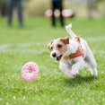 thumbnail image 3 of 2PCS Doughnut Pet Toy Interactive Bite-resistant Plush Cat Toy Squeaky Dog Toy, 3 of 10