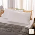 thumbnail image 1 of Pack de 2 Almohadas King Size de Microfibra Media | Descanso Ergonómico | Soft Nature, 1 of 5
