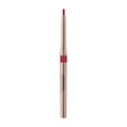 thumbnail image 1 of Rouges à Lèvres pour Femmes Crayon à Lèvres Rotatif Automatique Petit Lot Rouge à Lèvres Imperméable Longue Durée Mat Crayon à Lèvres Maquillage, 1 of 6