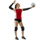 thumbnail image 5 of Set UMACWIN de rodilleras para voleibol y mangas para brazos, negro, 5 of 6