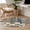 White, variant on White Floral Round Rug 3ft Area Rug Washable Soft Non-Slip 3' Circle Low Pile Rugs Spring Farmhouse Vintage Flower Leaf Plant Carpet for Bedroom Living Room Entryway Home Office Dining Room