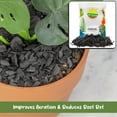 thumbnail image 4 of Horticultural Charcoal for Indoor Plants (1 Quart), Hardwood Soil Additive for Orchids, Terrariums, and Gardening, 4 of 10