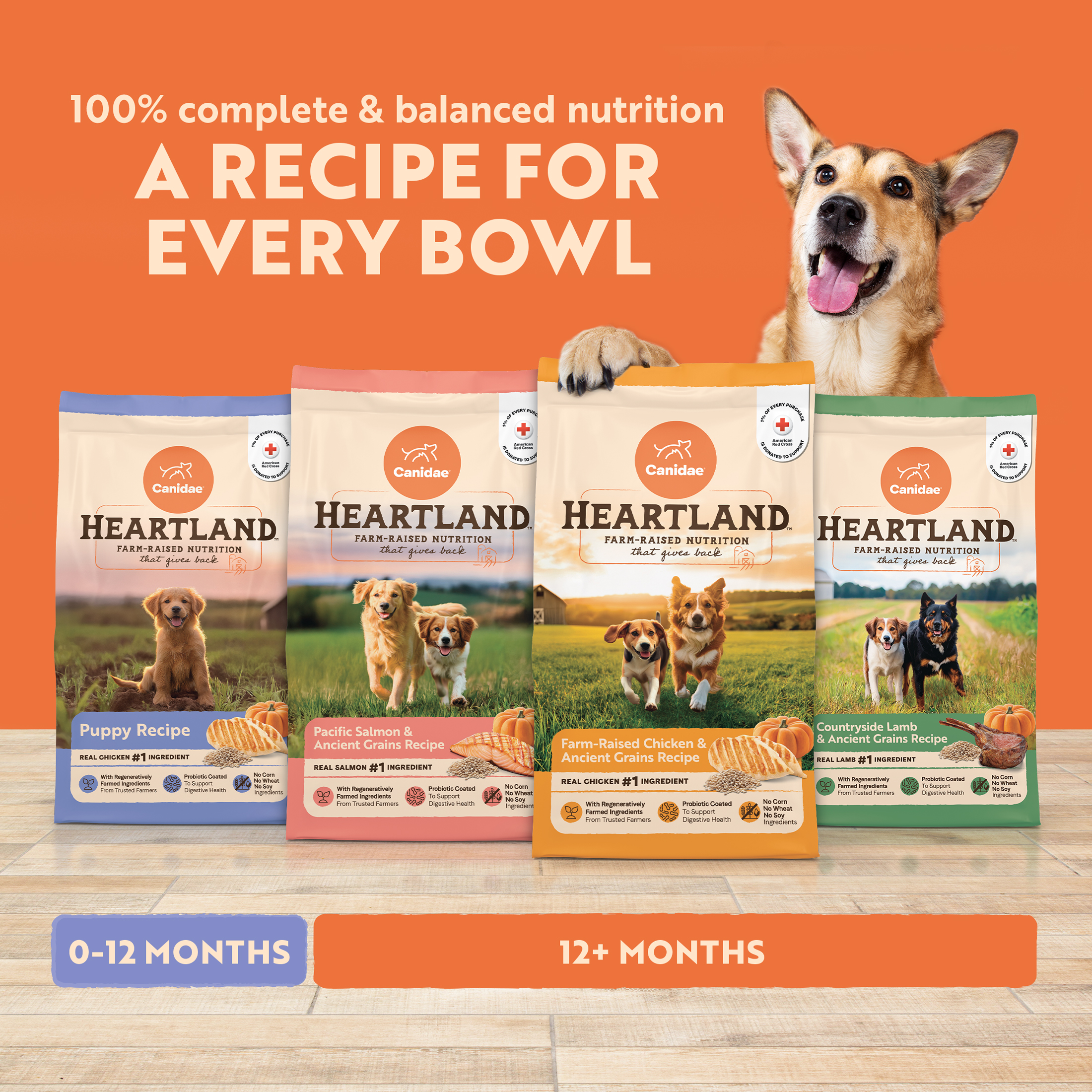 Canidae Heartland Farm-Raised Chicken & Ancient Grains Puppy, 4 lb photo 8