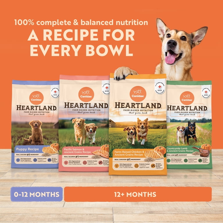 Pacific Salmon & Ancient Grains Adult Dog Food photo 8