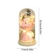 thumbnail image 3 of Lámpara de ambiente con flores preservadas | Miniadorno decorativo LED | Flor eterna iluminada para el hogar, dormitorio, escritorio, regalo | 10 x 20 cm | Decoración festiva para San Valentín y, 3 of 6