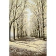 thumbnail image 3 of Nawrocke, Bruce 11x14 Black Modern Framed Museum Art Print Titled - Winter Cathedral Vertical, 3 of 5