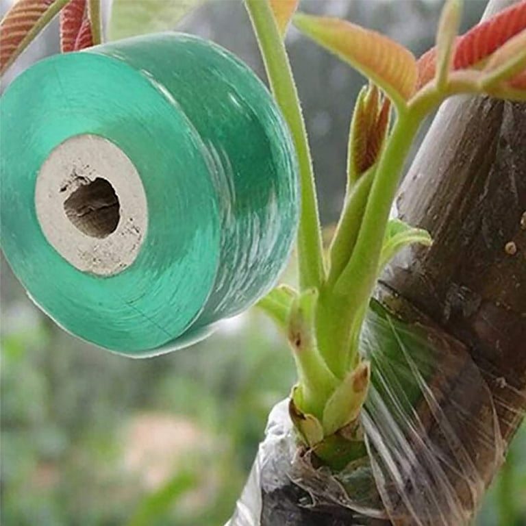 FALYEE Grafting Tape for Fruit Trees Floral Tape Grafting Tools Plant Tape  Gardening 