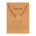 thumbnail image 1 of mtvxesu Bracelets Paper Card Twelve Nylon Rope Alloy Pendant Necklace Holiday Gift Sale, 1 of 1