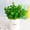 Green, variant on 1 Pcs Mini Artificial Succulents, Mini Artificial Succulent Plants, Realistic Faux Succulents for Diy Crafting, Home, Garden, Office & Party Decor(Green)