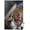 Premium Poster & Mount Bundle, variant on Marvel Comics - Thor - Astonishing 4 Wall Poster, 14.725" x 22.375"