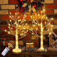thumbnail image 1 of 2 Pcs 2ft Lighted Birch Tree Decor with Timer, USB, Battery Powered Artificial Branch Tree with 8 Modes, Remote Control, Tabletop Tree Light for Christmas Decor Indoor(Classic Style) Warm White Warm, 1 of 5