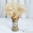 thumbnail image 5 of Preserved Baby's Breath 3 Bunches, 100% Natrual Fresh Gypsophila Long Lasting Flowers for Vase Arrangements Home Decoration Photo Props Parties and Weddings, DIY Décor-White, 5 of 12