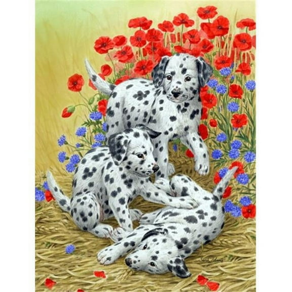 Dalmatian Pups Flag Canvas House Size