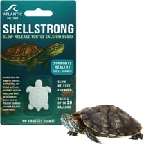 Shellstrong Premium Calcium Block for Aquatic Turtle - Slow Release Water Conditioner - Turtle Calcium Cuttlebone - Turtle Tank Accessories - 20 Gallon  Aquatic Reptile Tank Treatment
