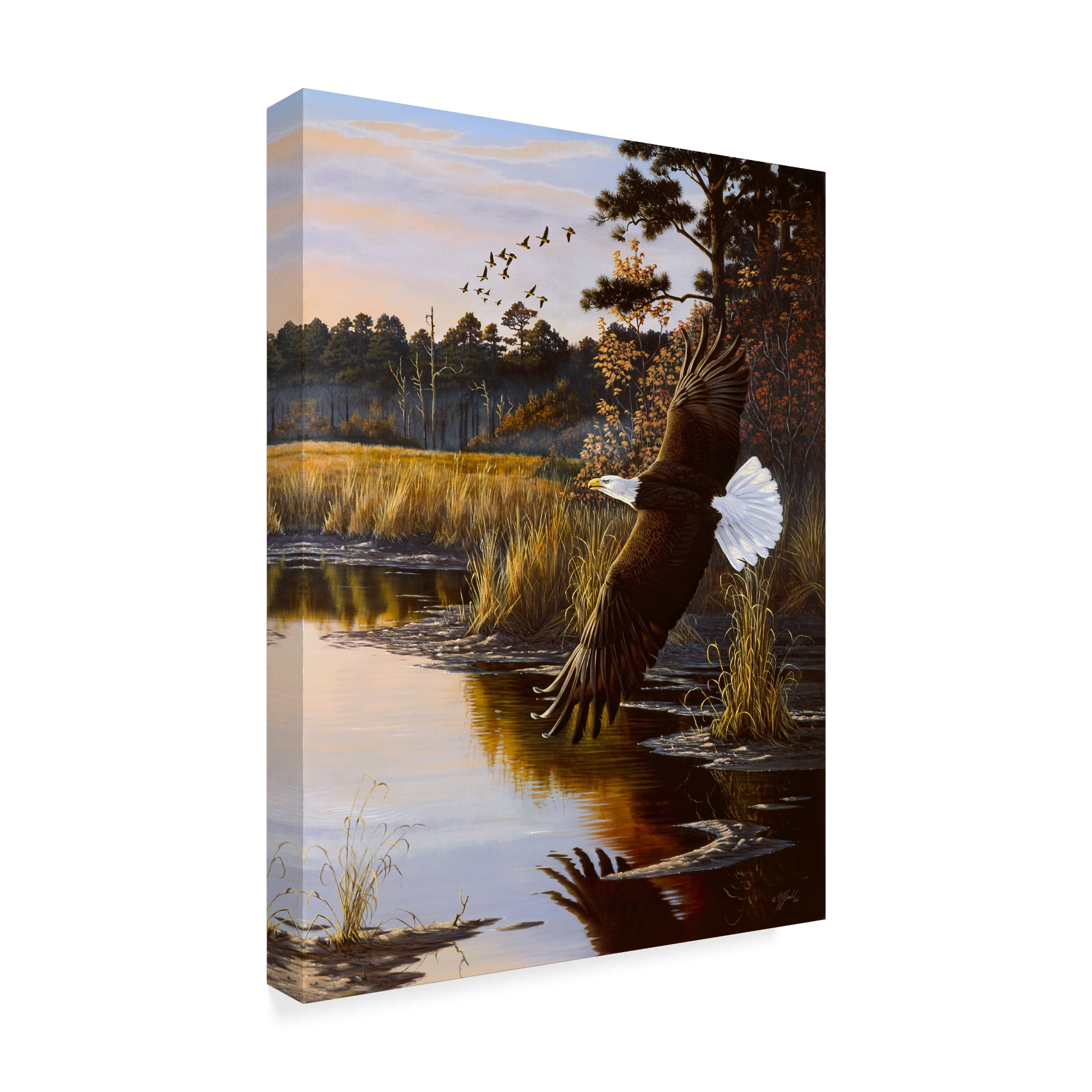 Trademark Fine Art 'Wings Of Autumn Bald Eagle' Canvas Art by Wilhelm Goebel