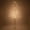Gold, variant on Wintergreen Lighting 5 ft Lighted Tree Decoration with Gold Branches, 570 Warm White Fairy Lights, Fairy Light Tree