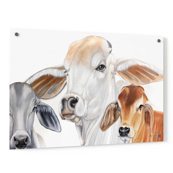 Epic Art 'Ranch Life' by Diane Fifer, Acrylic Glass Wall Art, 36"x24"