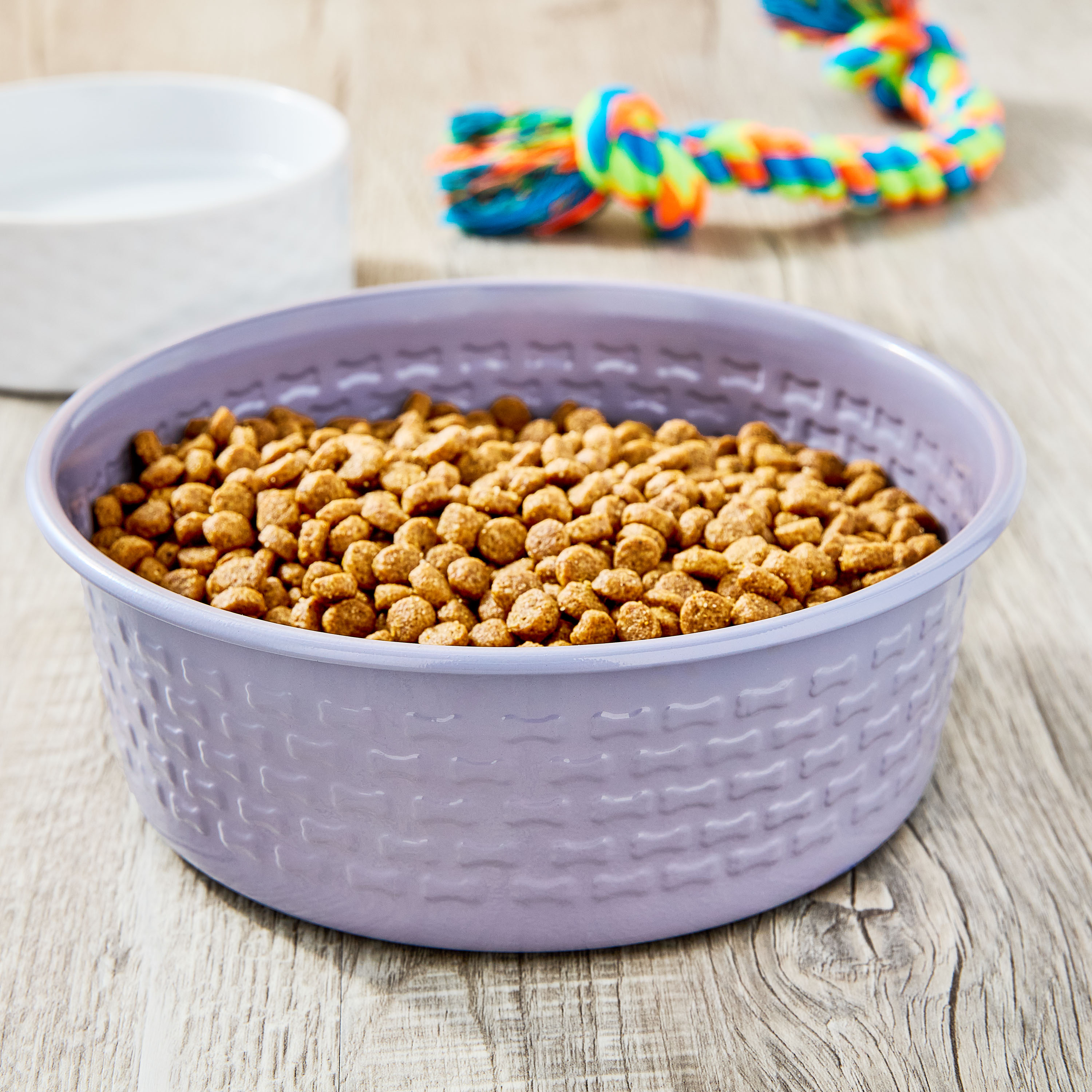 Vibrant Life Large Stainless Steel Embossed Dog Bowl, Purple Bones