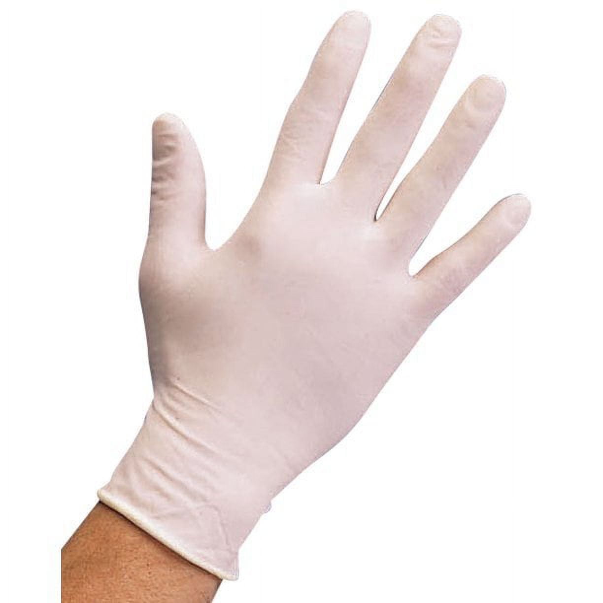 CareMates Latex-PF Examination Gloves, Large, 100 Count
