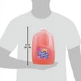 thumbnail image 6 of Fruit Rush Fruit Pink Lemon Drink, 1 Gallon, 6 of 6