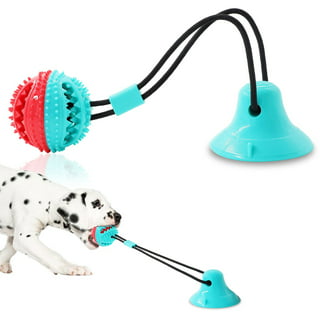 An Inside Look at Food Dispensing Toys for Dogs – Center for Shelter Dogs