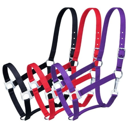 3 PACK ECONOMY HORSE HALTER