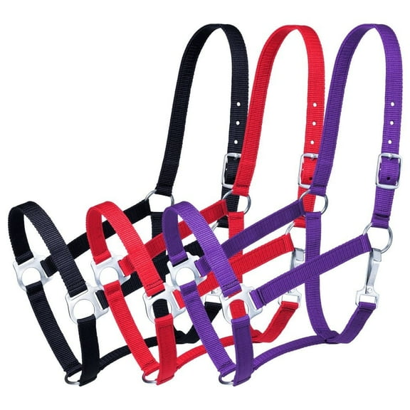 3 PACK ECONOMY HORSE HALTER
