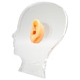 thumbnail image 4 of Molde de exhibición profesional de silicona suave para simulación de modelo de oreja con soporte acrílico para audífonos y pendientes., 4 of 14
