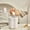 A, variant on Decorative Desktop Wastebasket With Lid Small Bedside Garbage Can For Bedroom Kitchen Sturdy Mini Cute Compact Rubbish Container Easy To Clean