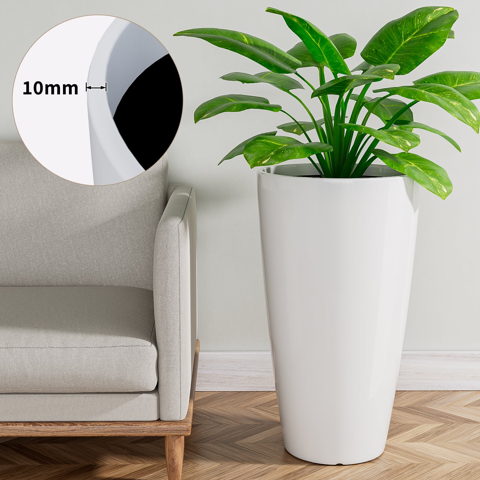 aglaonema achat Aglaonema