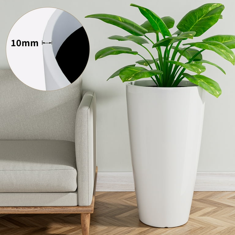 house plant supports Stella main image 1