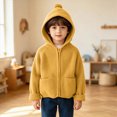 thumbnail image 2 of WXFAZCVU Boys Full Zip Cardigan Sweater with Hood and Pockets, Kids Fall Fashion Clothing Goingout Size 18-24 Months, 2 of 4